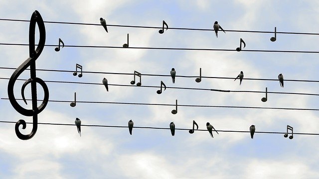 Swiftとは？Appleのアプリ開発言語の特徴を知ろう。※初心者向け